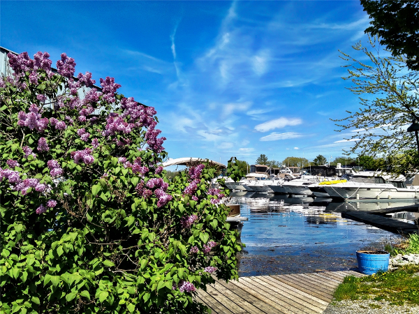 Our gounds are meticulously groomed, and are inviting enough you will hate Sunday afternoons!