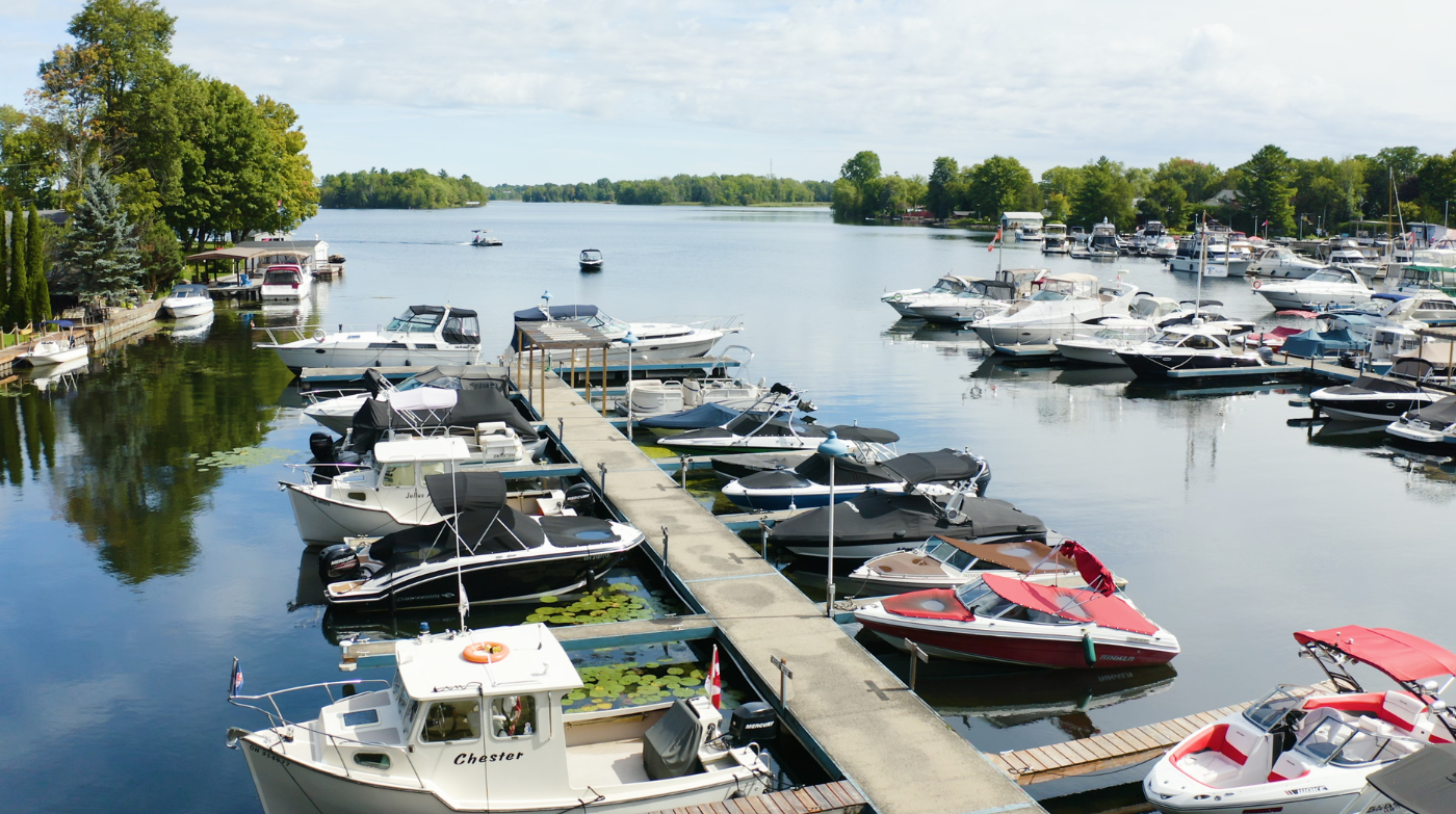marina docks full of boats